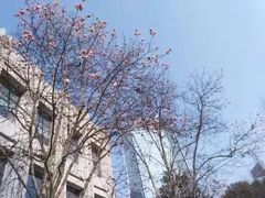 -中国（江苏）自由贸易试验区苏州片区一站式服务中心