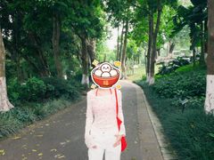 -广西壮族自治区药用植物园