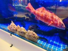 -东富酒家(龙湖西溪天街店)
