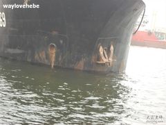 -海河外滩公园
