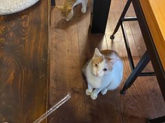 -251#coffee roasters(沿河东路店)