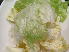 -蒙都43°9羊火锅(平庄店)
