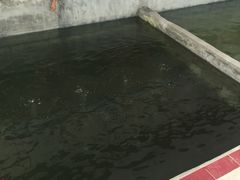 -小象钓虾·营地烧烤(洛溪店)