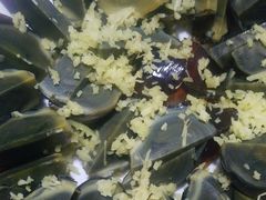 -水库活鱼馆(于桥水库店)