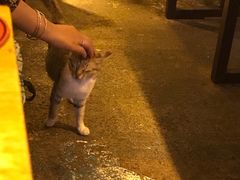 -在路上酒吧(大理古城店)