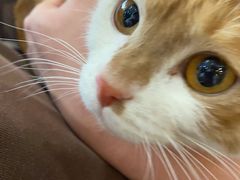 -猫爷的腔调·黔小馆(交大医学住宅区店)