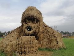 -北纬44度·金珠花海休闲农业旅游景区
