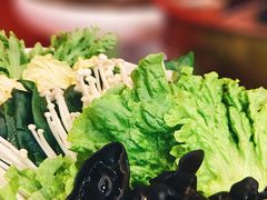 -宝泉铜锅(高新店)