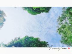 -马黑哥椒麻鸡(清江山水店)