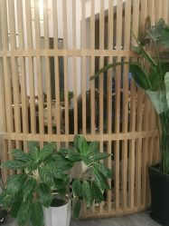 -章光101防脱养发荟