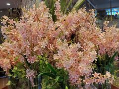 -东瓯大酒店(温州梧田老街店)