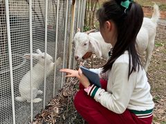 -福建鲤鱼洲酒店