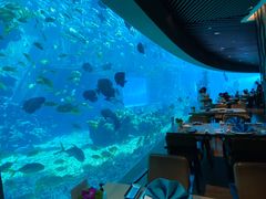 -海棠湾洲际-涛·海底餐厅·美人鱼·自助餐·海底隧道