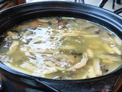 -马帮菜馆·美味野生菌