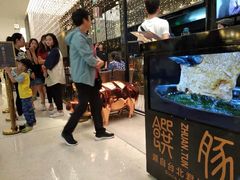 -馔豚·台北菜专门店(深圳湾万象城店)