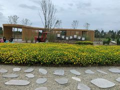 -夏河溪乡野公园