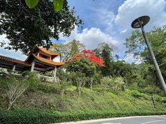 -深圳仙湖植物园