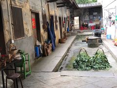 -福建土楼（华安）旅游区•大地土楼群