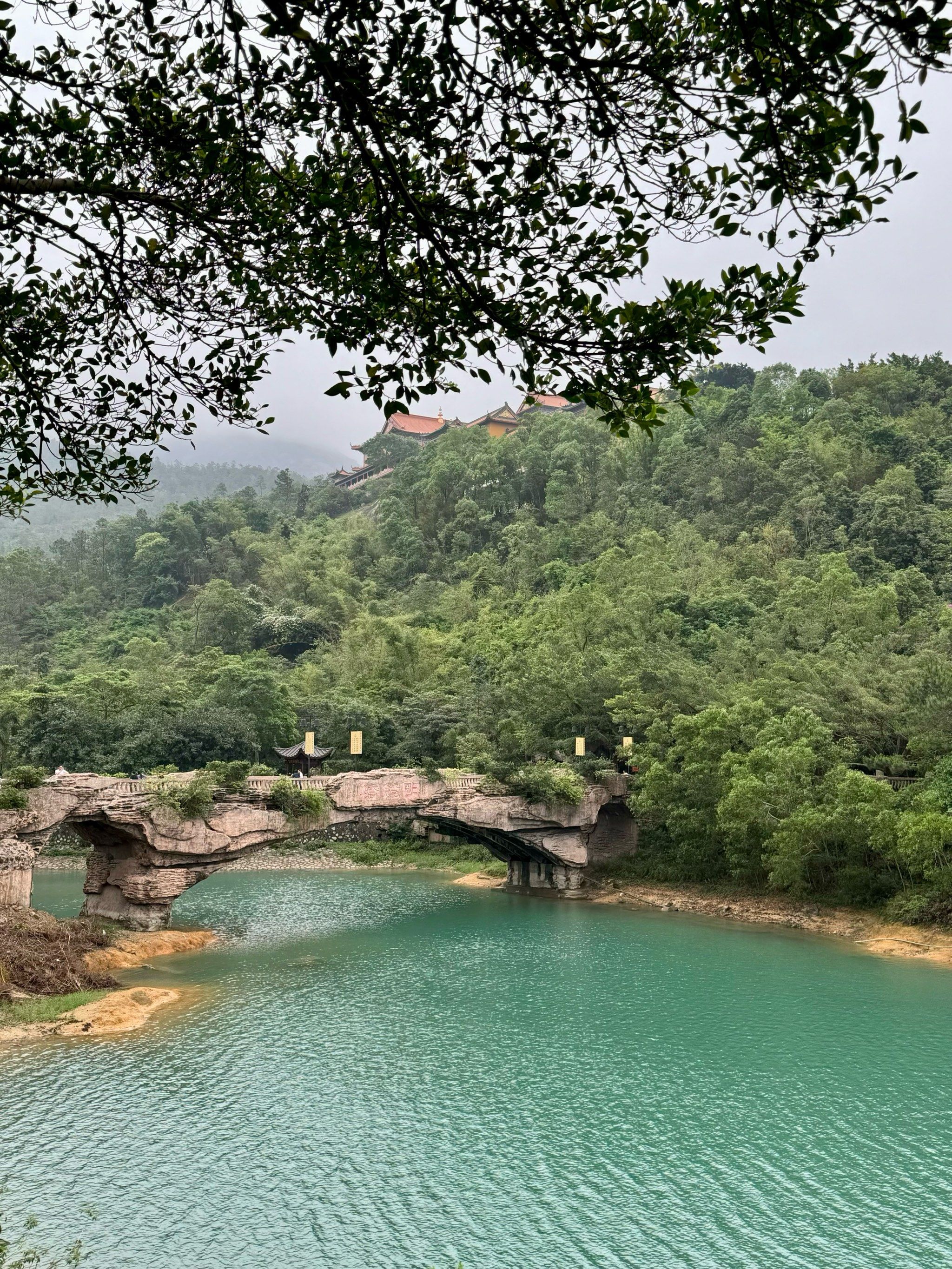 雨天的金台寺好美呀