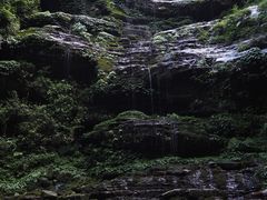 -碧峰峡风景区