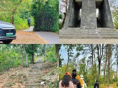 -青龙山国家森林公园