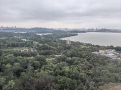 -东湖落雁景区