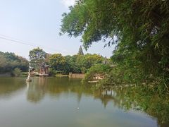 -青龙山国家森林公园