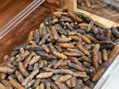 -宫品海参专卖店(静安大宁店)