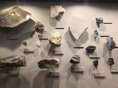 -墨尔本博物馆(Melbourne Museum)