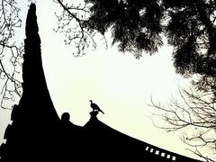 android_upload_pic-叶家花园