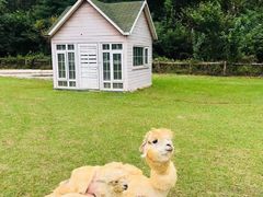 -大连铭湖国际观光牧场