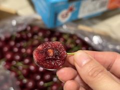 -双福水果批发市场