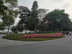 -海珠湖公园