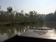 iphone_upload_pic-溱湖国家湿地公园