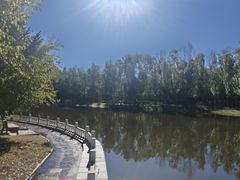 -诺敏塔拉奶茶-布里亚特包子-手把肉(锦都会店)