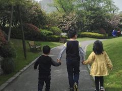 -桃花岛景观公园