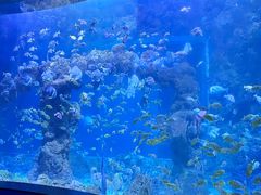 -海合安青岛极地海洋公园
