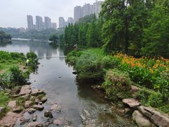 -重庆彩云湖湿地公园