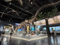 -国家自然博物馆