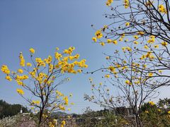 -中国移动南方基地