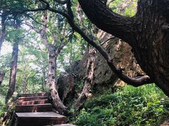 -白草畔自然风景区