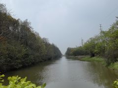 -上海海湾国家森林公园