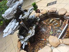 -台山第一家兴华黄鳝饭·黄鳝婆(合水分店)