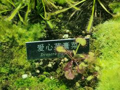 -国家植物园南园