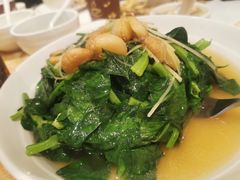 -华星餐厅