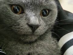 -肯德基(茂业店)