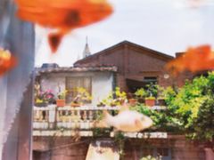 -巴浪鱼咖啡馆 Local Fish