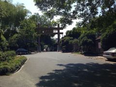iphone_upload_pic-龙井壹号·茶缘山景宴(龙井村店)