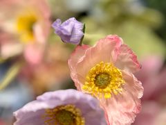 -La Moda(深圳万象城店)