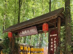 -林间山庄